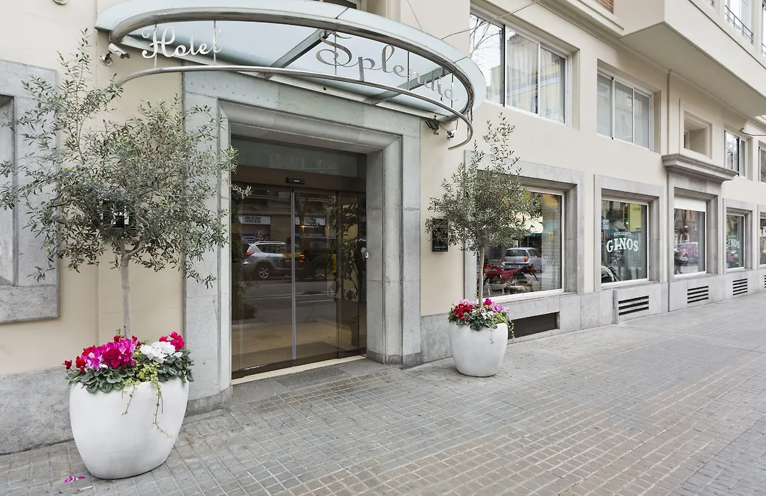 Acta Splendid-1